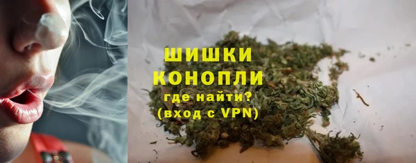 ГАЛЛЮЦИНОГЕННЫЕ ГРИБЫ Балабаново
