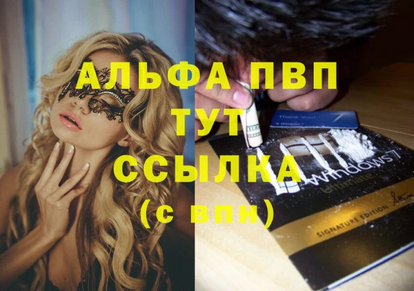гидра Аркадак