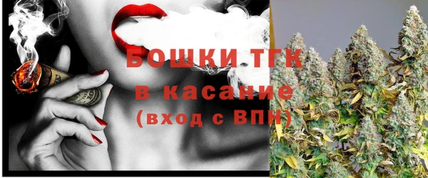 гидра Аркадак