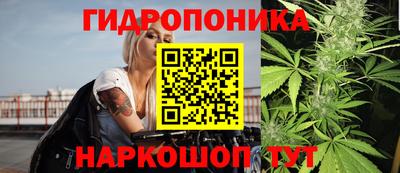 ГАЛЛЮЦИНОГЕННЫЕ ГРИБЫ Кинель