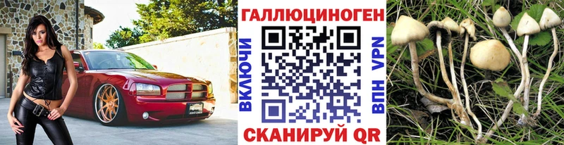 omg tor  Сочи  Галлюциногенные грибы MAGIC MUSHROOMS 