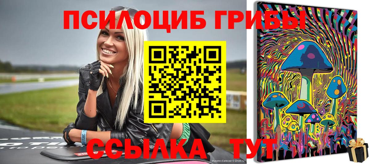 где найти наркотики  Вход с VPN  Сочи  Галлюциногенные грибы GOLDEN TEACHER 